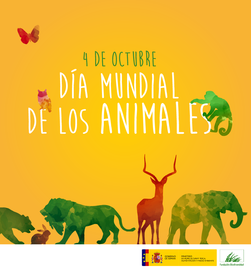 DÍA MUNDIAL DE LOS ANIMALES, 4 DE OCTUBRE DEL 2017